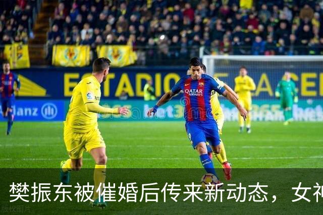 樊振东被催婚后传来新动态，女神身价超20亿美元，难怪拒绝百万带薪假